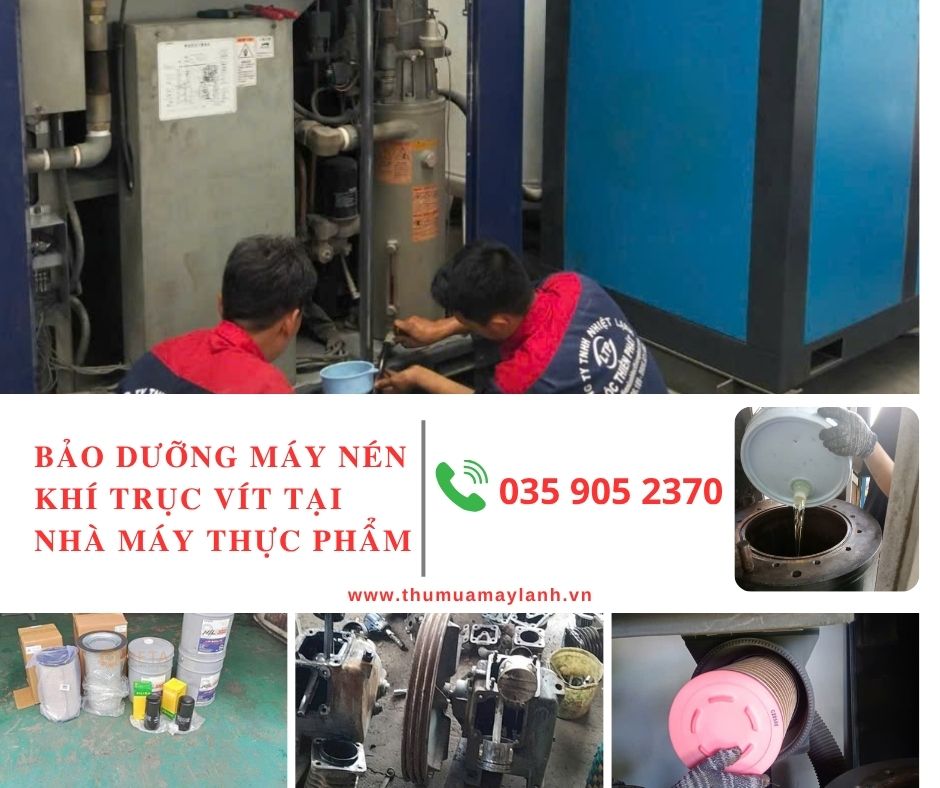 Bảo Dưỡng Máy Nén Khí Trục Vít Cho Nhà Máy Thực Phẩm: Giải Pháp Đảm Bảo Khí Nén Sạch Và An Toàn Sản Xuất